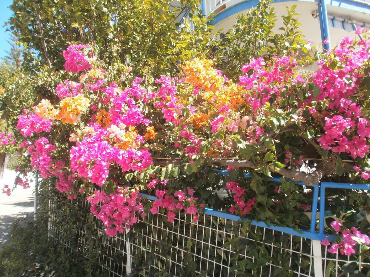 קסירופיגאדו Seaview Self Catering Apartment - Helen No 1 מראה חיצוני תמונה